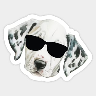 Funny Dalmatian Puppy Dog with sunglasses Sticker